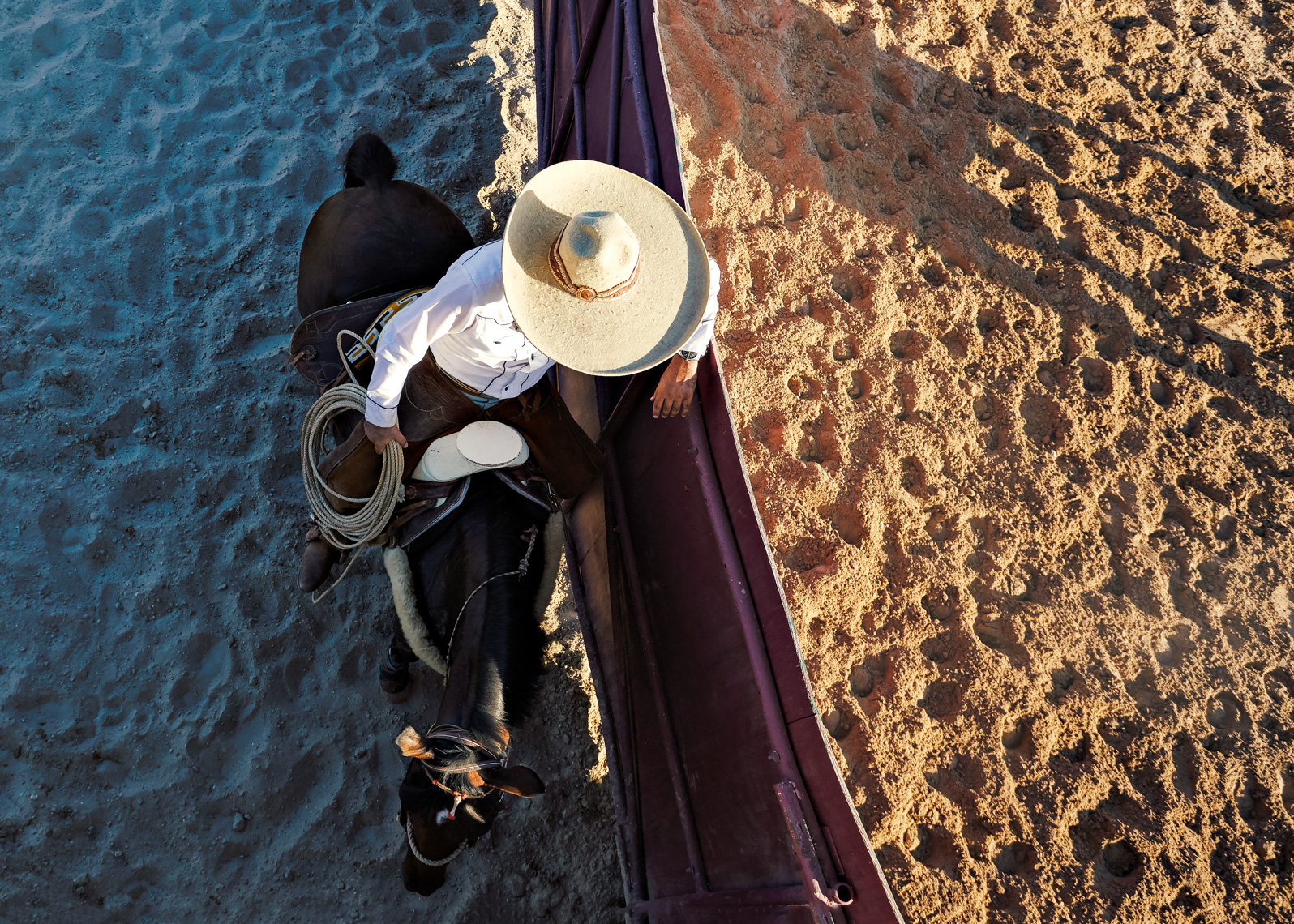 Robert G Gomez • Charros de San Antonio Series 